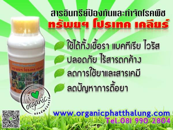 สารอินทรีย์ป้องกันและกำจัดโรคพืชทรัพยฯ โปรเทค เคลียร์500cc