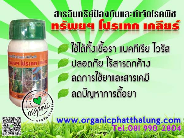 สารอินทรีย์ป้องกันและกำจัดโรคพืชทรัพยฯ โปรเทค เคลียร์250cc