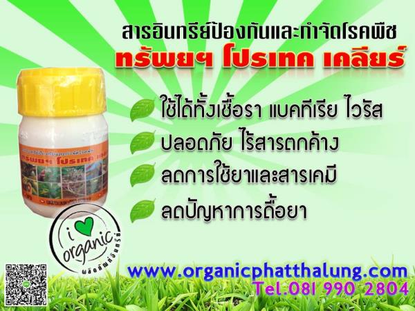 สารอินทรีย์ป้องกันและกำจัดโรคพืชทรัพยฯ โปรเทค เคลียร์100cc