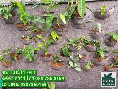 ผ้าห่มสีเทา FELT ทำสวนแนวตั้ง