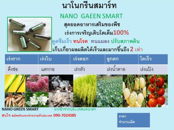 ปุ๋ยโปรตีนกุหลาบ | กุหลาบ - เมืองเชียงใหม่ เชียงใหม่