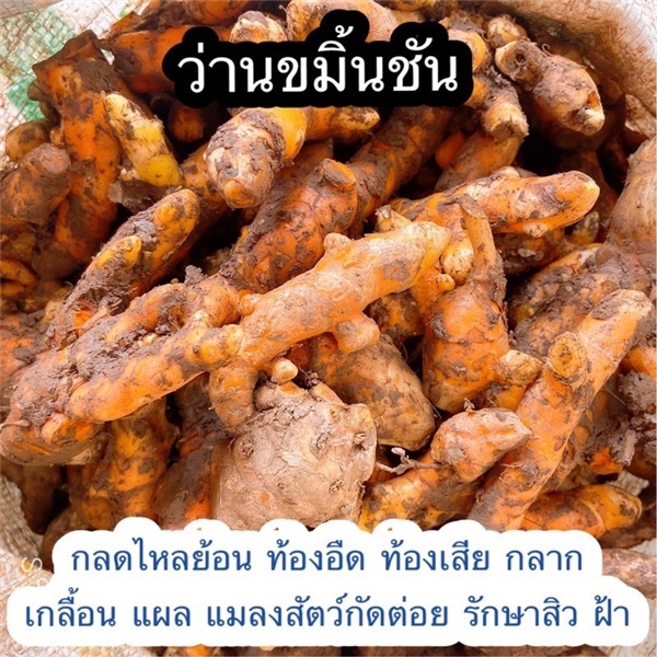 ขมิ้นชัน