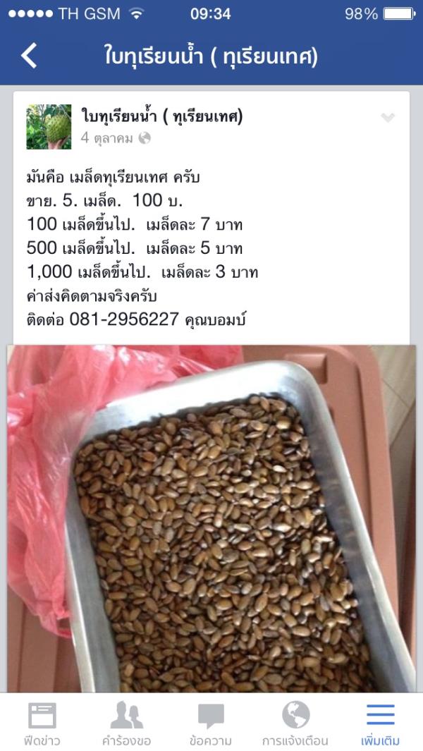 เมล็ดทุเรียนเทศ