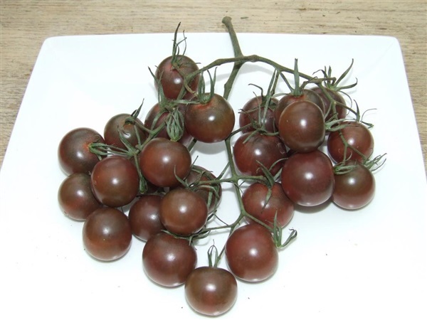 มะเขือเทศเชอรี่ดำ - Black Cherry Tomato