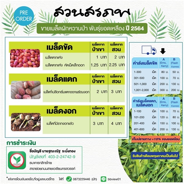 ขายเมล็ดผักหวานป่า 1 บาท | ฐณะณัฐการเกษตร - เมืองนครสวรรค์ นครสวรรค์