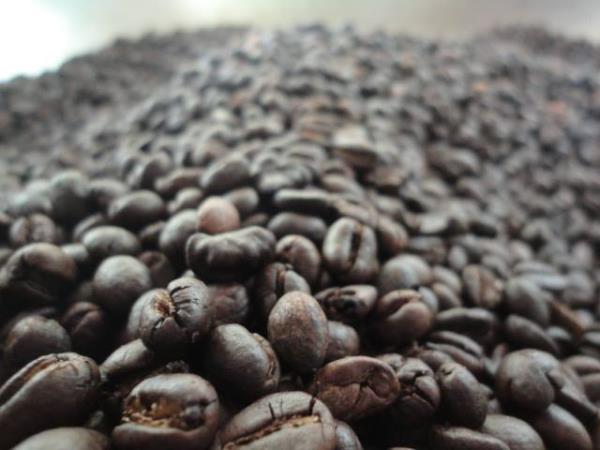 ขายเมล็ดกาแฟ อาราบิกา | นพดล - วังเหนือ ลำปาง