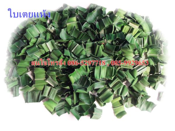 ใบเตยอบแห้ง   pandan leaves | เฟิร์สบีนส์ -  กรุงเทพมหานคร