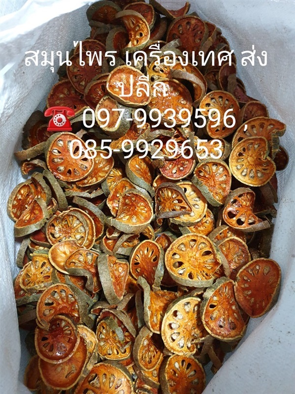 มะตูมแห้ง  Dired Bael fruit | เฟิร์สบีนส์ -  กรุงเทพมหานคร