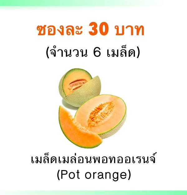 เมล็ดเมล่อนพอทออเรนจ์ | Mono Poly Fruits - เมืองเชียงใหม่ เชียงใหม่