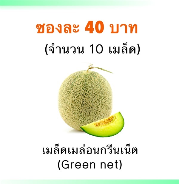 เมล็ดเมล่อนกรีนเน็ต (Green net) | Mono Poly Fruits - เมืองเชียงใหม่ เชียงใหม่