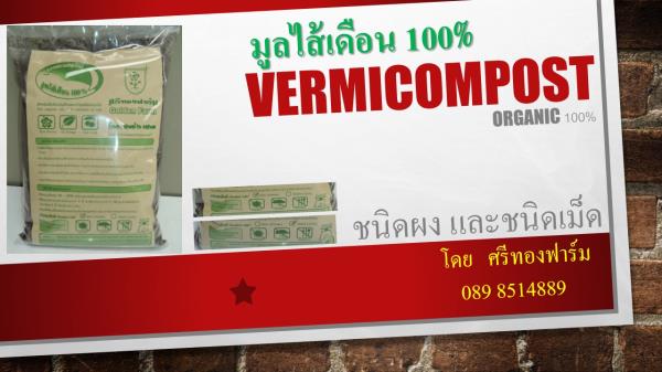 มูลไส้เดือน 100% | ศรีทองฟาร์ม - บางขุนเทียน กรุงเทพมหานคร