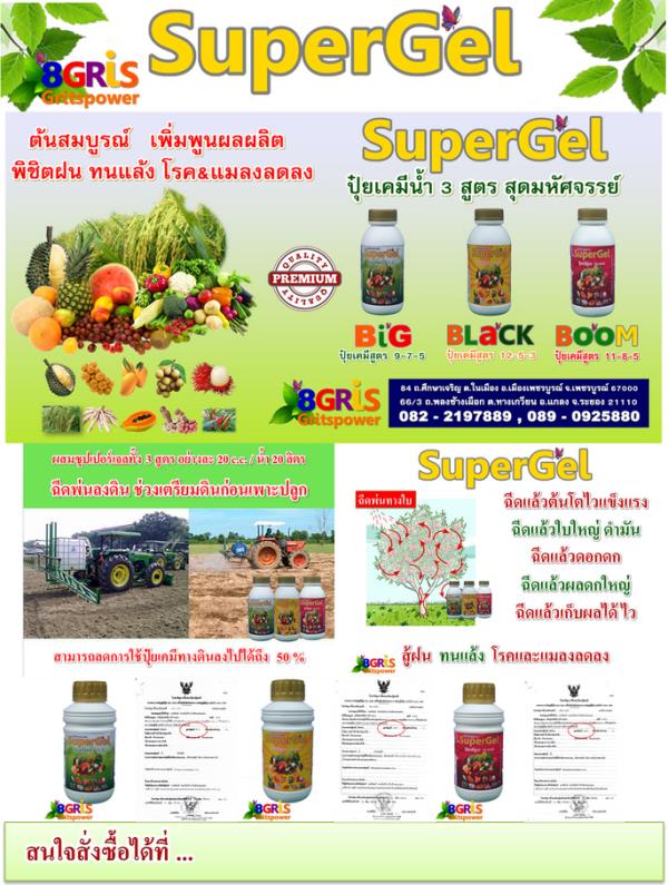 SuperGel | พลังกฤช - เมืองเพชรบูรณ์ เพชรบูรณ์