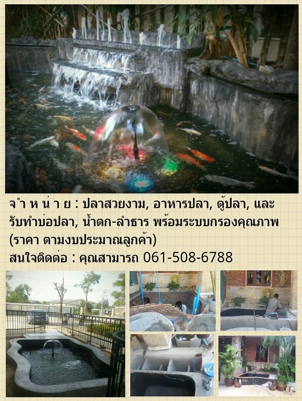 รับทำบ่อปลา น้ำตก ลำธาร | huahin aquarium - หัวหิน ประจวบคีรีขันธ์