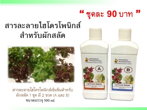 สารละลายปุ๋ยไฮโดรโปนิกส์ ปุ๋ยAB สำหรับผักสลัด | Mono Poly Fruits - เมืองเชียงใหม่ เชียงใหม่