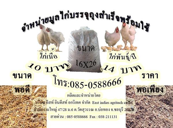 จำหน่ายปุ๋ยมูลไก่,ปุ๋ยขี้ไก่ บรรจุถุง | บริษัท อีสท์ อินดีสท์ อกริเทค จำกัด(East indies agritech co) - บ่อทอง ชลบุรี