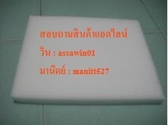 ฟองน้ำปลูก #สินค้าขายดี