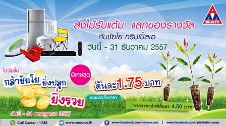 กล้าชัยโย ต้นกระดาษพันธุ์ดี | Shaiyoaaa - บางปะกง ฉะเชิงเทรา