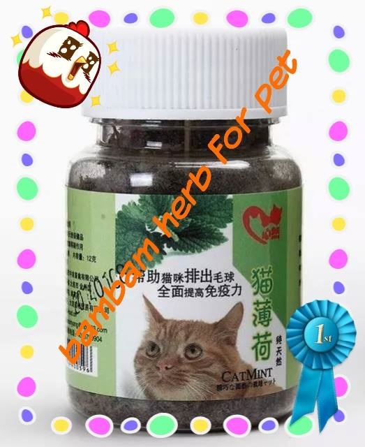 ผงแคทนิปนำเข้าจากไต้หวัน | herb for pet - พญาไท กรุงเทพมหานคร