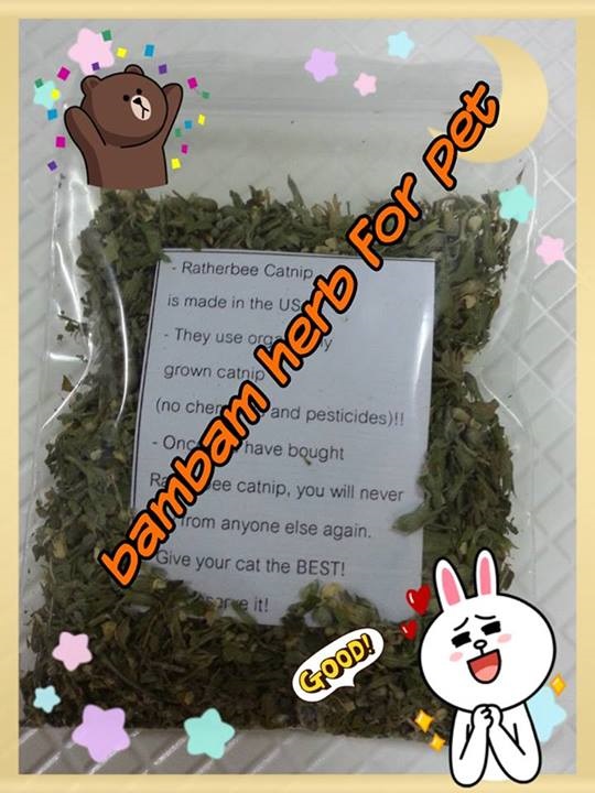 แคทนิปผงนำเข้าจากอเมริกา | herb for pet - พญาไท กรุงเทพมหานคร