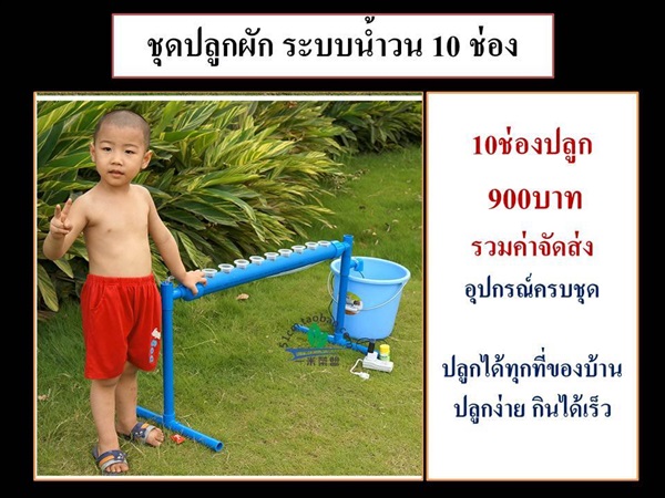 ชุดปลูกผักไร้ดิน ไฮโดรโปนิกส์ 10 ช่อง | สวนสำราญ@จันทบุรี - เขาคิชฌกูฏ จันทบุรี