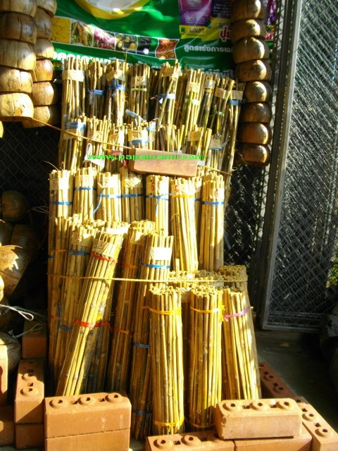 ไม้ไผ่ผ่าซีก สำหรับปัก  40 ซม. | บ้านป่าป๊า & หม่ามี๊ - บางบัวทอง นนทบุรี
