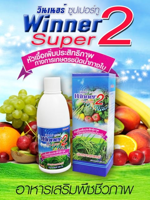 Winner Super 2 | ต้อมการเกษตร - เมืองสระบุรี สระบุรี