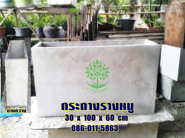 ขายกระถางปูนรางหมู30x100x60 cm | จริงใจไม้มงคล แอนด์ แลนด์สเคป - ลำลูกกา ปทุมธานี