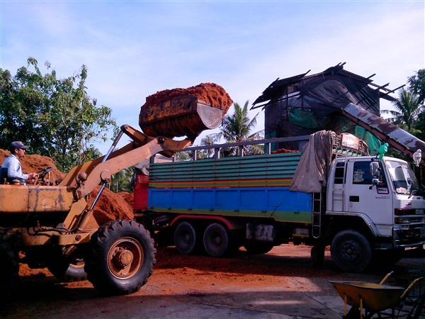 ขุยมะพร้าว,ใยมะพร้าว | ฺThai Bio Farm - ศรีราชา ชลบุรี