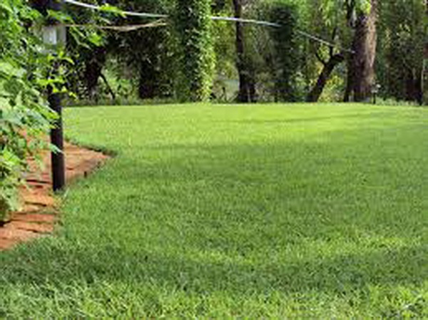 รับตัดหญ้า กิ่งไม้ ดูแลสวน ปูหญ้า | บ้านทรงภพ (กรุงเทพฯ) - ลาดพร้าว กรุงเทพมหานคร