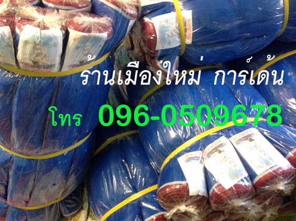 มุ้งเขียว , มุ้งไนล่อน ,มุ้งฟ้า   | เมืองใหม่การ์เด้น -  สมุทรสาคร