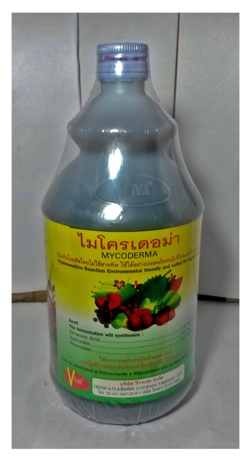 ไมโครเดอม่า Mycroderma