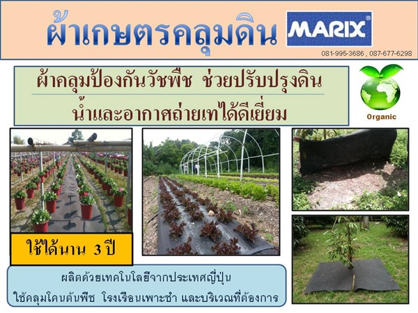 ผ้าเกษตรคลุมดินMarix กำจัดวัชพืชได้ 3ปี น้ำและอากาศผ่านได้ | ผ้าเกษตรคลุมดินMarix - ลำลูกกา ปทุมธานี