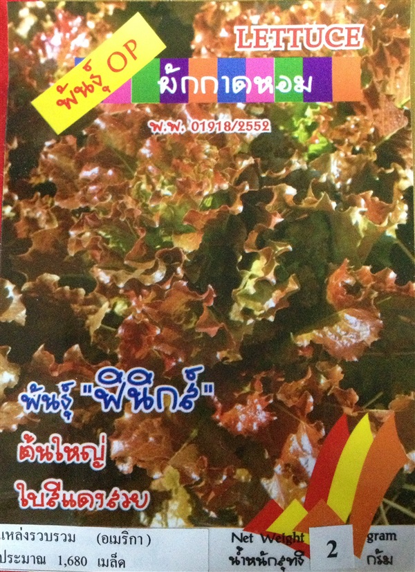 เมล็ดผักกาดหอม LETTUCE | Anupong-Seed - โชคชัย นครราชสีมา