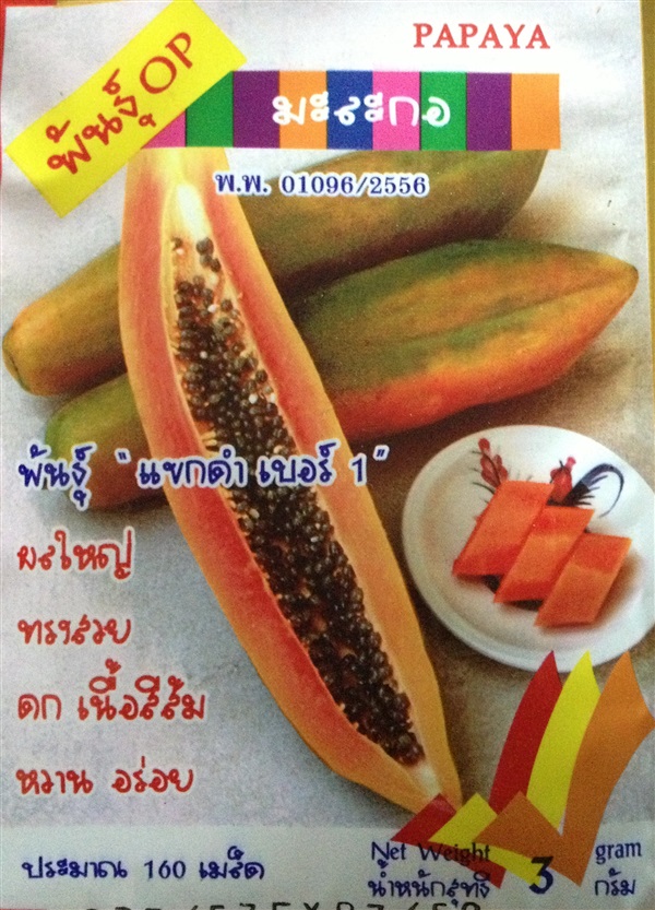 เมล็ดมะละกอ PAPAYA | Anupong-Seed - โชคชัย นครราชสีมา