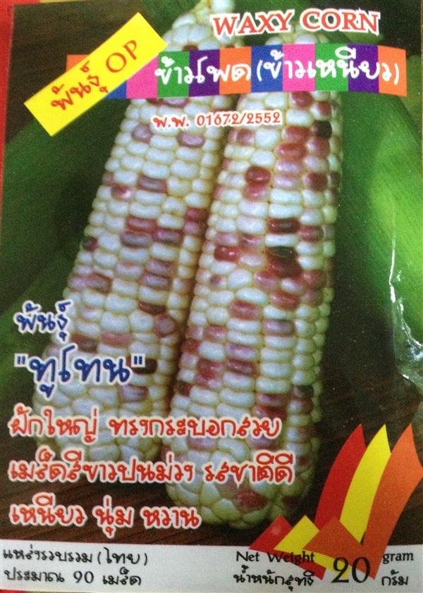 เมล็ดข้าวโพดข้าวเหนียว WAXY CORN | Anupong-Seed - โชคชัย นครราชสีมา