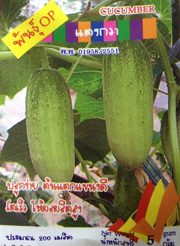 เมล็ดแตงกวา CUCUMBER | Anupong-Seed - โชคชัย นครราชสีมา