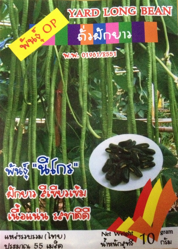 เมล็ดถั่วฝักยาว YARD LONG BEAN | Anupong-Seed - โชคชัย นครราชสีมา