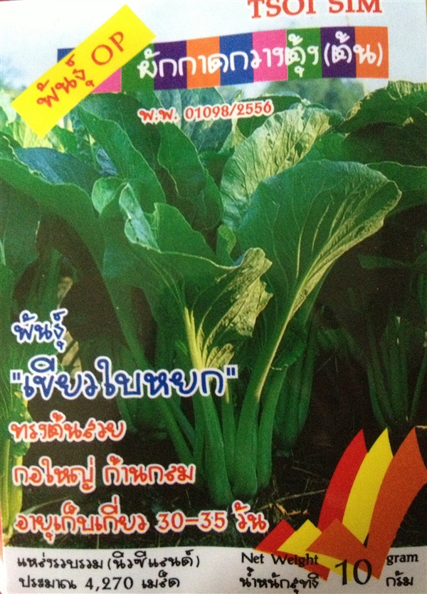 เมล็ดผักกาดกวางตุ้งต้น TSOI SIM | Anupong-Seed - โชคชัย นครราชสีมา