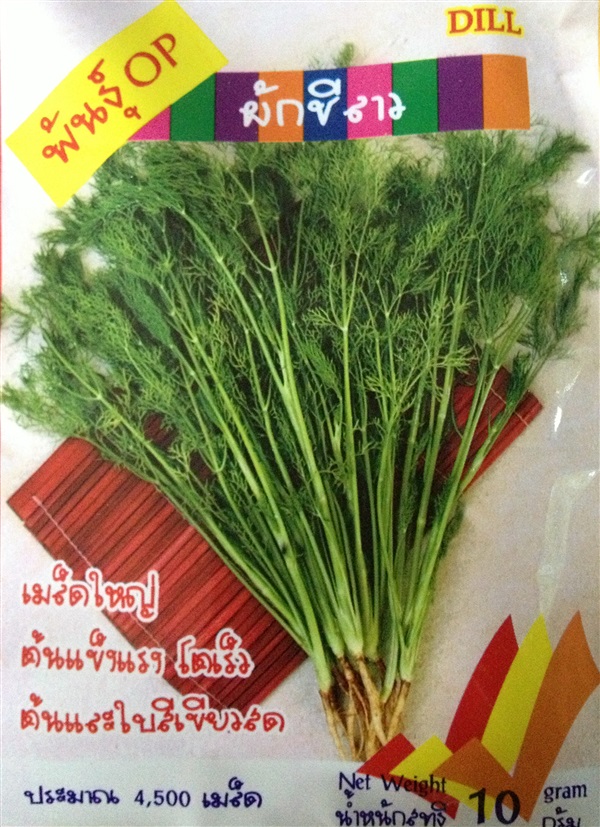 เมล็ดผักชีลาว DILL | Anupong-Seed - โชคชัย นครราชสีมา