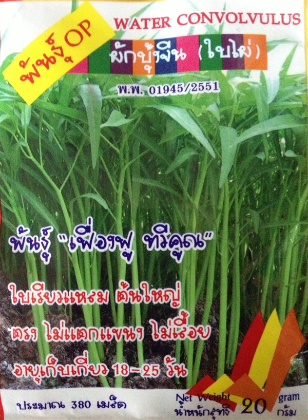 เมล็ดผักบุ้งจีนใบไผ่ WATER CONVOLVULUS | Anupong-Seed - โชคชัย นครราชสีมา