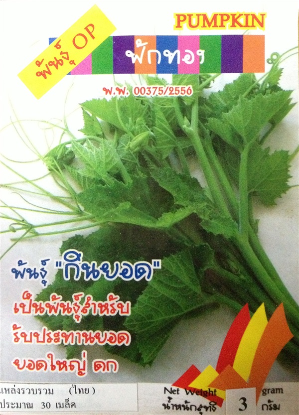 เมล็ดฟักทอง PUMPKIN | Anupong-Seed - โชคชัย นครราชสีมา