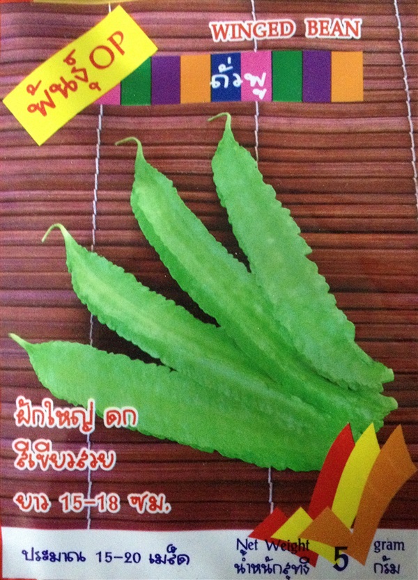 เมล็ดถั่วพู WINGED BEAN