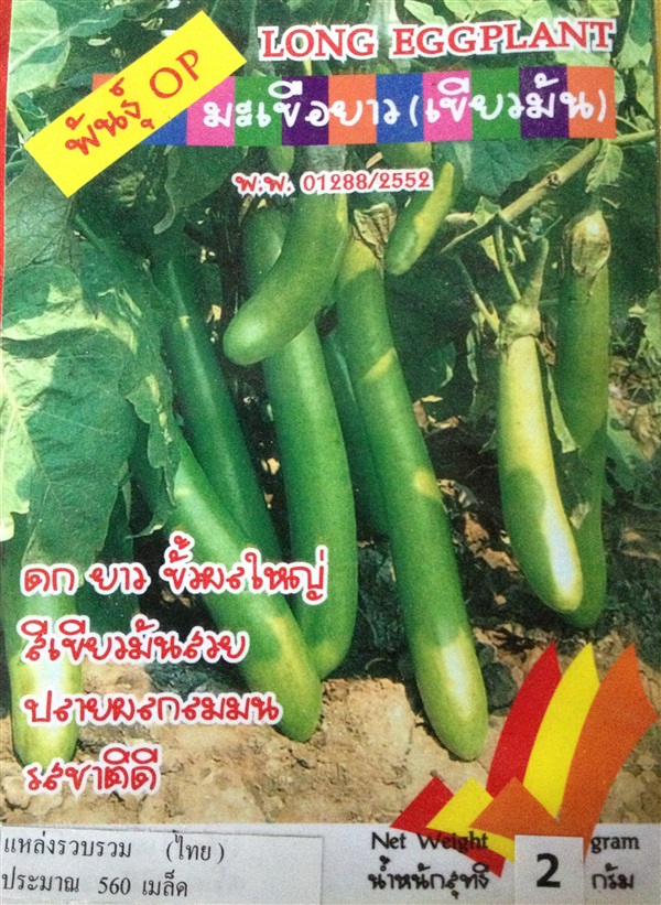 เมล็ดมะเขือยาวเขียวมัน LONG EGGPLANT | Anupong-Seed - โชคชัย นครราชสีมา