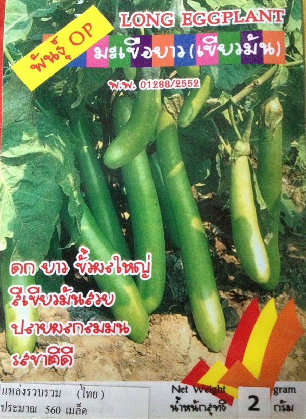 เมล็ดมะเขือยาวเขียวมัน LONG EGGPLANT