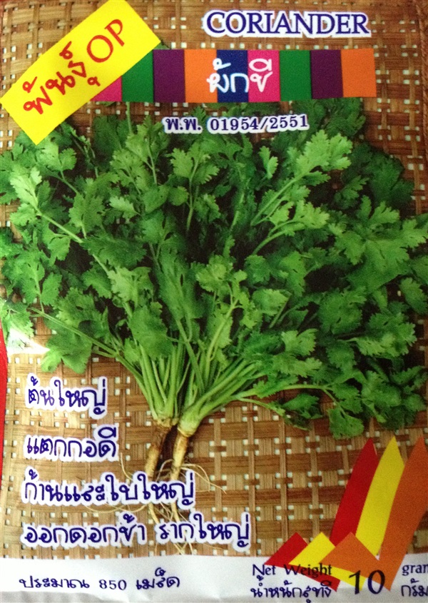 เมล็ดผักชี CORIANDER | Anupong-Seed - โชคชัย นครราชสีมา