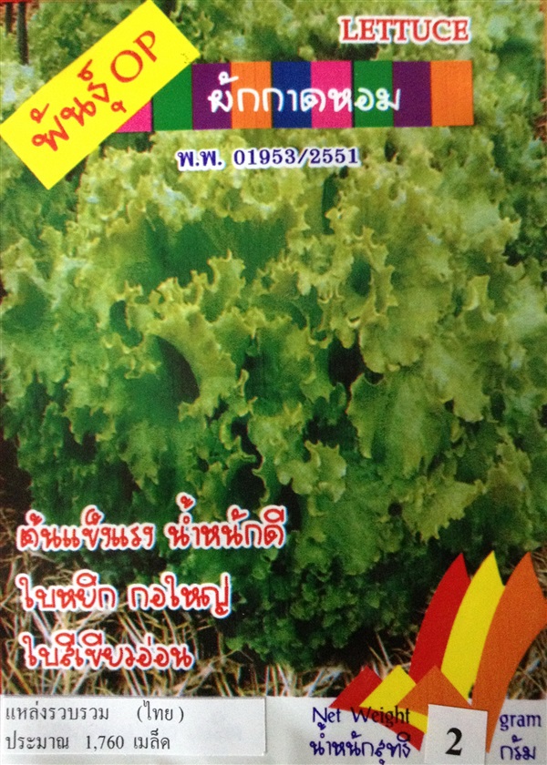 เมล็ดผักกาดหอม LETTUCE