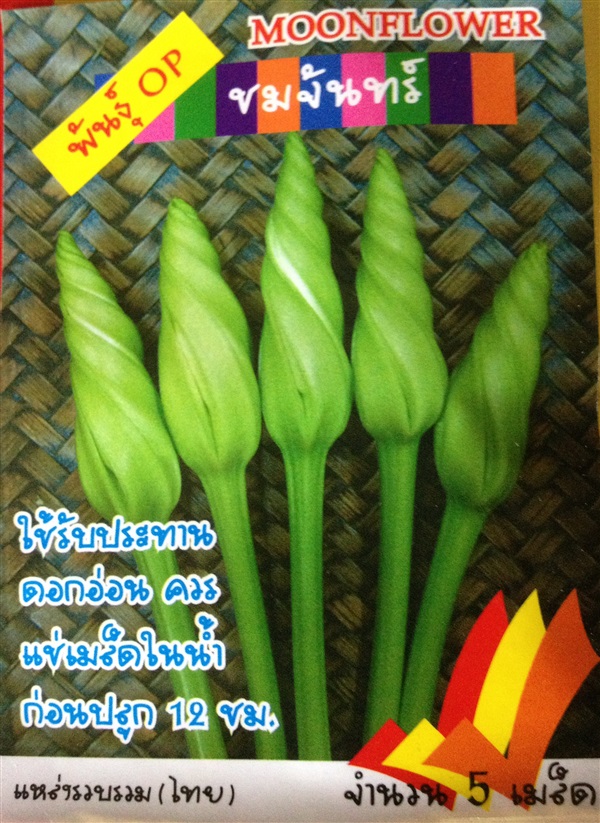 เมล็ดชมจันทร์ MOONFLOWER