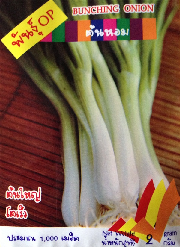 เมล็ดต้นหอม BUNCHING ONION