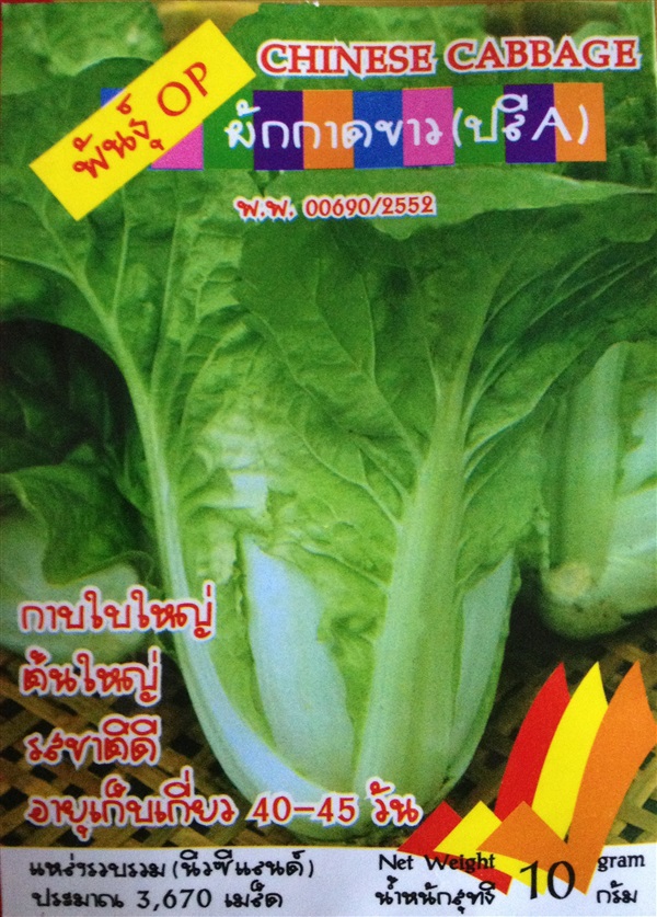 เมล็ดผักกาดขาวปลี CHINESE CABBAGE | Anupong-Seed - โชคชัย นครราชสีมา