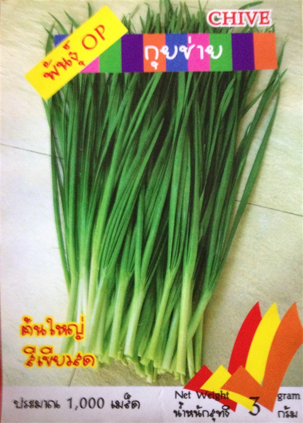 เมล็ดกุยช่าย CHIVE | Anupong-Seed - โชคชัย นครราชสีมา